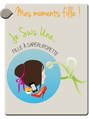 Cadre Blog Perso Marinette Saperlipopette